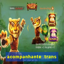 acompanhante trans porto alegre